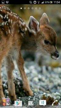 Deer wallpapers screenshot 3