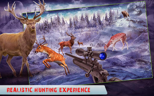 Wild Animal Hunter screenshot 2