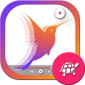 Slow Motion Video Maker: Video FX logo