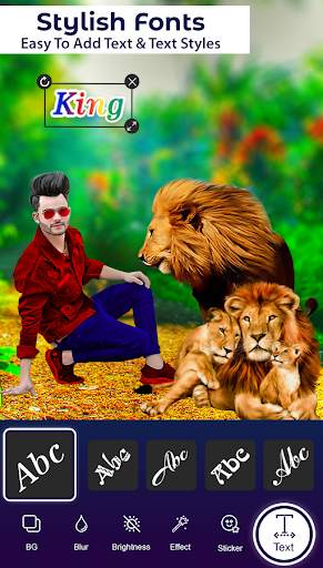 Lion Photo Editor screenshot 8