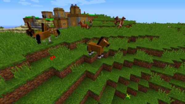 Seeds for Monecraft PE screenshot 3