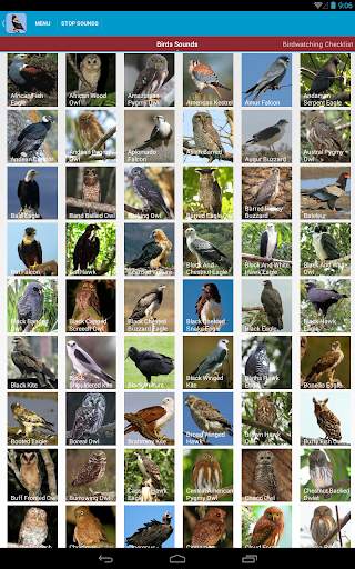 Birds of Prey Sounds Free screenshot 18