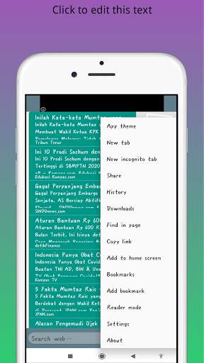 POSSIBLE BROWSER screenshot 5