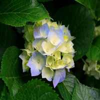 Beauty of Nature -  nature pictures, nature photos on 9Apps