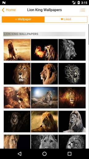 Lion King Wallpapers - Best Lion Wallpapers HD screenshot 2