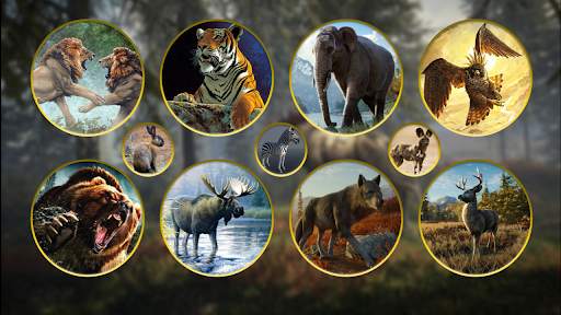 Animal Hunting -Shooting Games screenshot 6