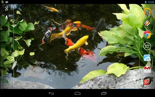 Magic Touch: Realistic Koi Live Wallpaper screenshot 7
