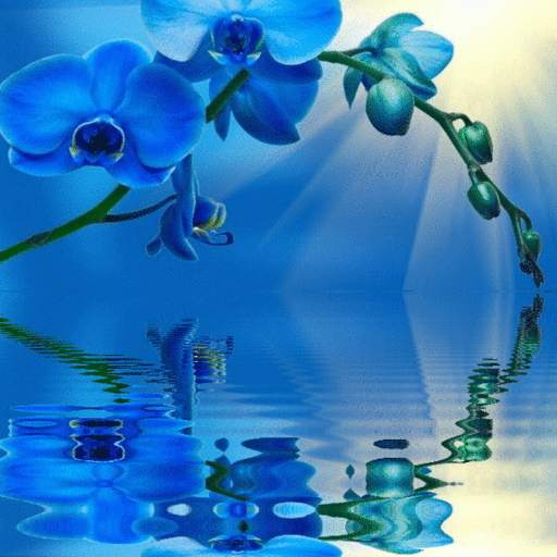 Blue Orchid Live Wallpaper 3