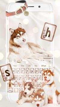 Cute Siberian Husky Keyboard Theme screenshot 1