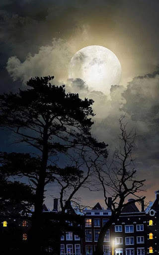 HD Mystic Night Live Wallpaper screenshot 2