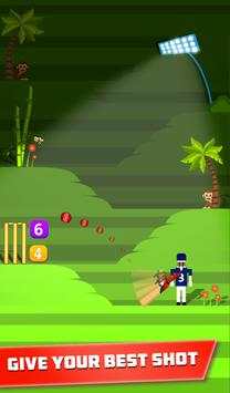 Mr. Bat: The Cricket Game screenshot 5