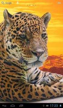 Jaguars Wallpapers screenshot 2