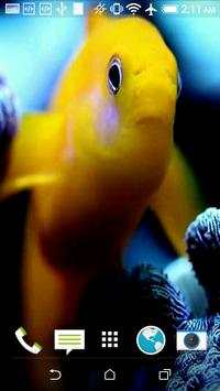 Fish Live Video Wallpaper screenshot 1