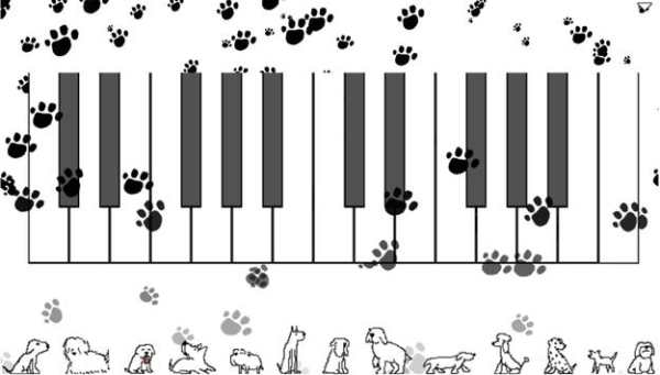 Dog Piano screenshot 1