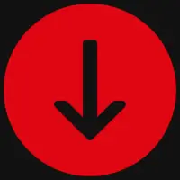 FDM - File Downloader