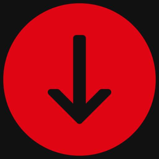 FDM - File Downloader 1.3
