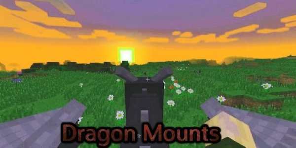 Dragon Mounts Mod for Minecraft screenshot 2