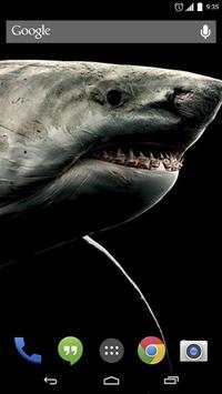 Shark 3D Live Wallpaper screenshot 1