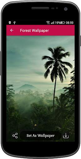 Forest Wallpaper screenshot 4