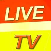 Live TV Channel