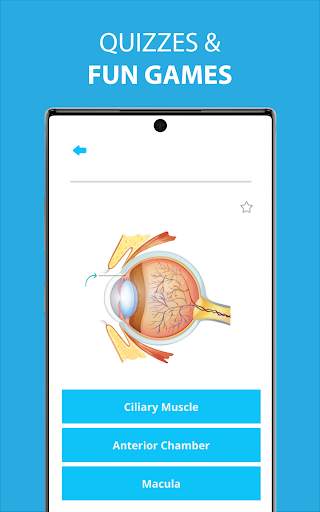 Human Anatomy Learning - 3D screenshot 4