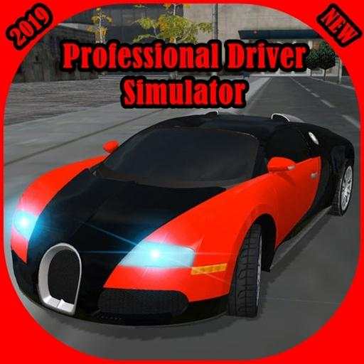 Professional Driver - Car Racing 2019-2020 4.0