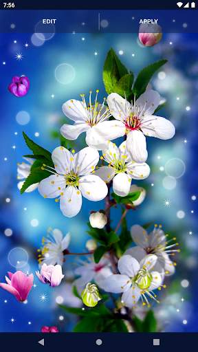 Flower Blossom Live Wallpaper screenshot 4