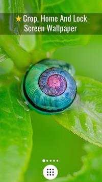 Macro Wallpapers screenshot 3