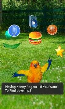 Funny Talking Parrot screenshot 4