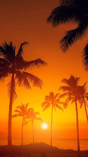 Sunset HD Wallpapers screenshot 5