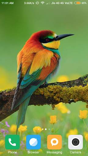 Bird Wallpapers screenshot 3
