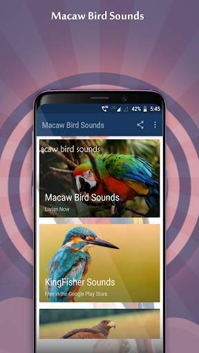 Macaw Bird Sounds screenshot 1