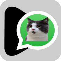 Stickers Memes Adhesivos de Gatos para WhatsApp logo