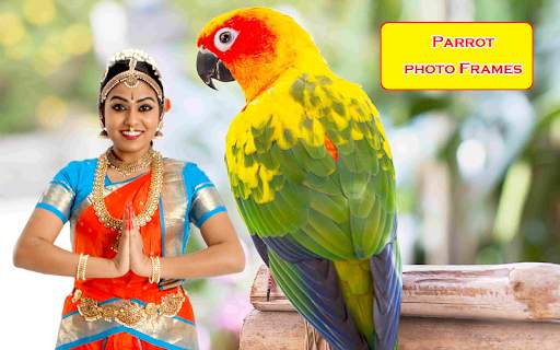Parrot Photo Frames screenshot 5