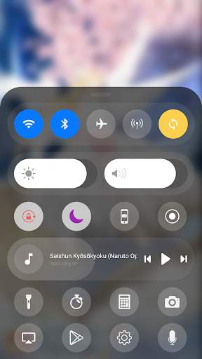 Control Center i-OS13 screenshot 2