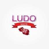 Ludo Mate 1.25