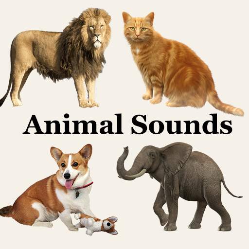 Animal Sounds 3D 1.5