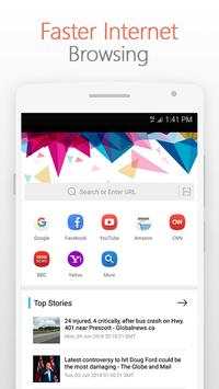 Web Browser screenshot 1