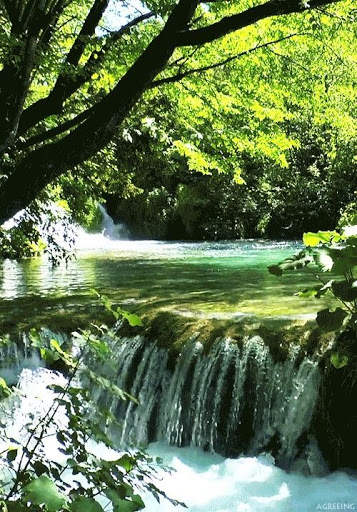 River Live Wallpaper screenshot 6