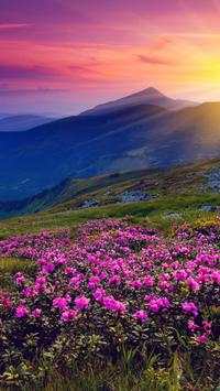 P9 Lite HD Wallpapers screenshot 3