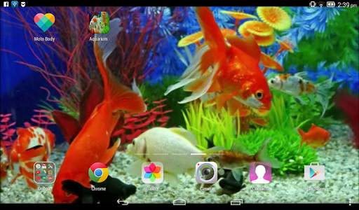 Aquarium Live Wallpaper screenshot 5