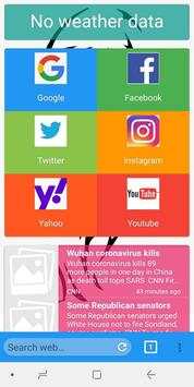 Lioness - Internet Browser screenshot 1
