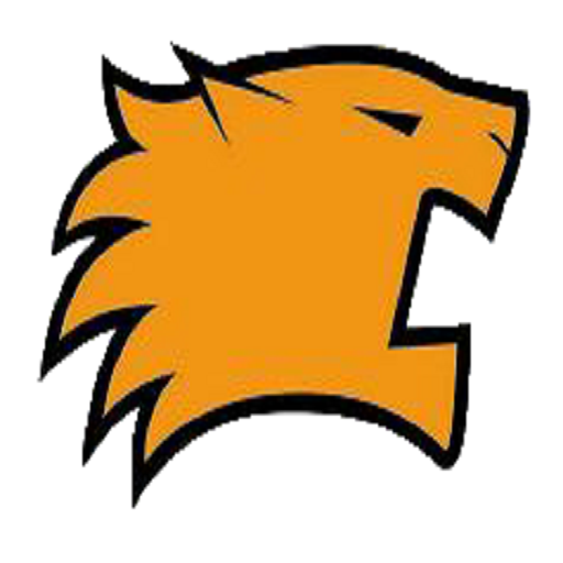 Tiger Group icon