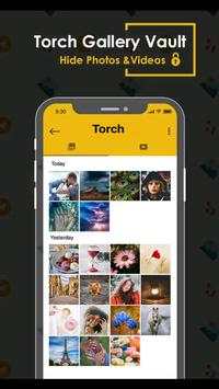 Torch Gallery Vault screenshot 6