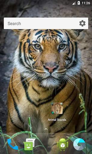 Natural Animal Sounds and HD Wallpaper screenshot 9