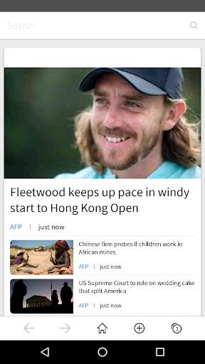 Browser screenshot 2