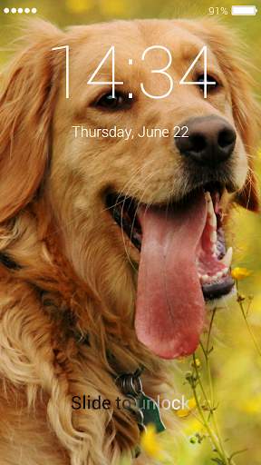 Golden Retriever Lock Screen screenshot 7