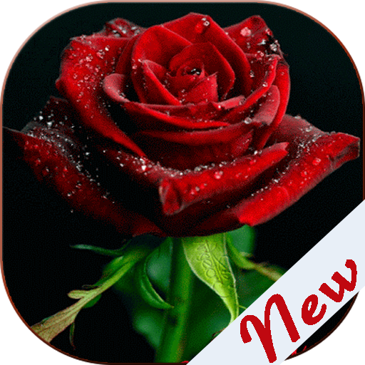 Flowers and Roses Images Gifs आइकन