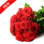 Autocollants roses pour WhatsApp icon
