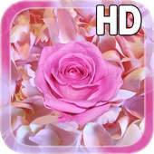 Rose Petals Live Wallpaper 1.0